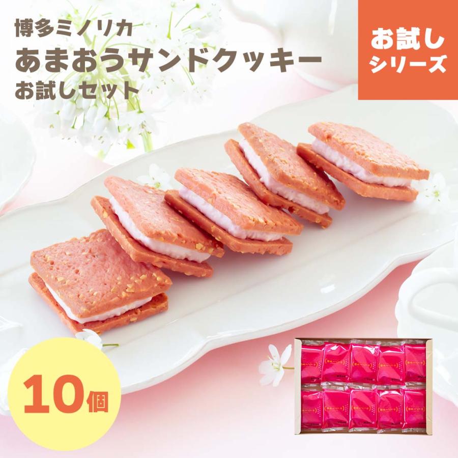 送料無料 お菓子 お試しセット 個包装 クッキー ｜ 博多ミノリカ