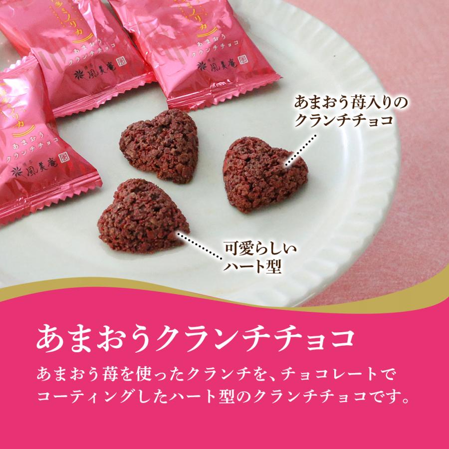 博多ミノリカギフトセットM | 焼き菓子 洋菓子 個包装 送料無料