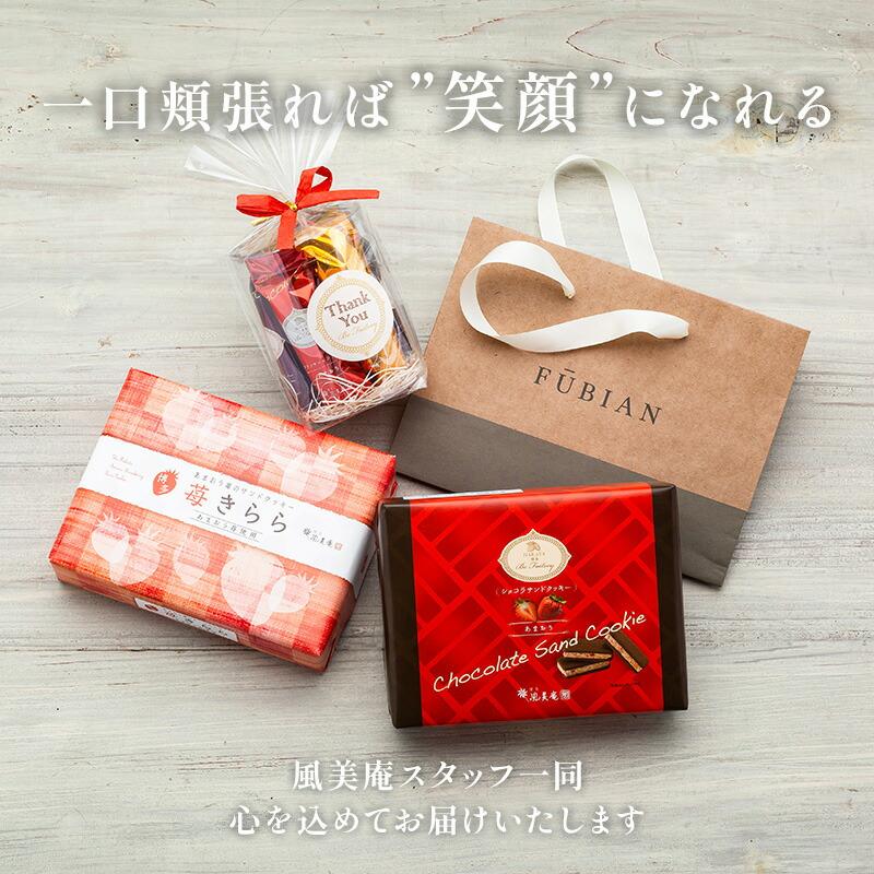 ぷちギフト専用紙袋 大 ラッピング ギフト プチギフト : 博多風美庵