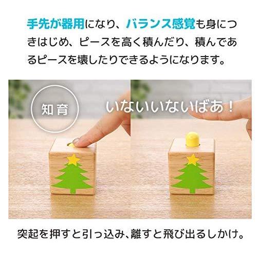 福袋特集 22 積み木 木のおもちゃ ブロックス Up Pop とびでる積み木 エデュテ限定ガイドブック付き 安心 誕生 知育玩具 音 音が鳴る 仕掛け しかけ 安全 知育玩具 Www Sustentec Com Br