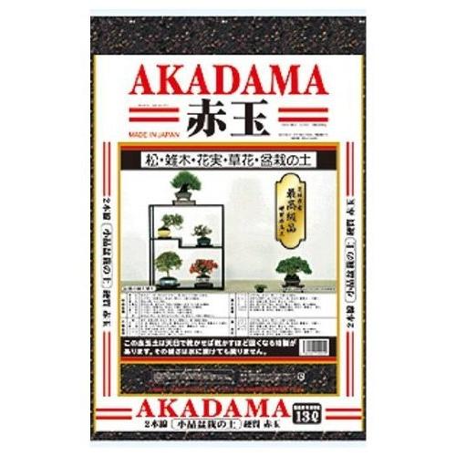 大宮グリーンサービス 花 ガーデニング 小品盆栽 二本線硬質赤玉土 小品盆栽 S
