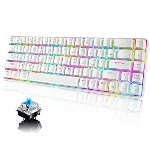 想像を超えての ゲーミングキーボード メカニカル式 小型 英語配列 青軸68キー防衝突 ゲーム用キーボード 18種類のrgbバックライト Type C 有線 防水 打 時間指定不可 Turningheadskennel Com