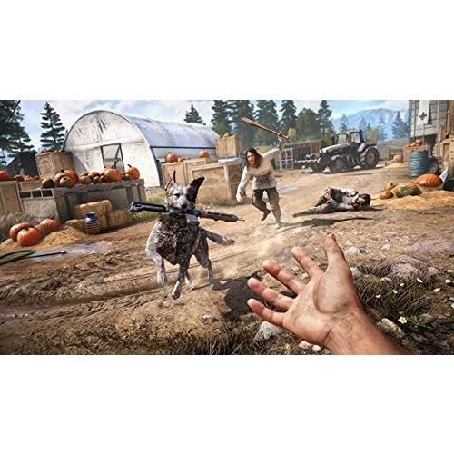スーパーセール期間限定 Ps4 ファークライ5