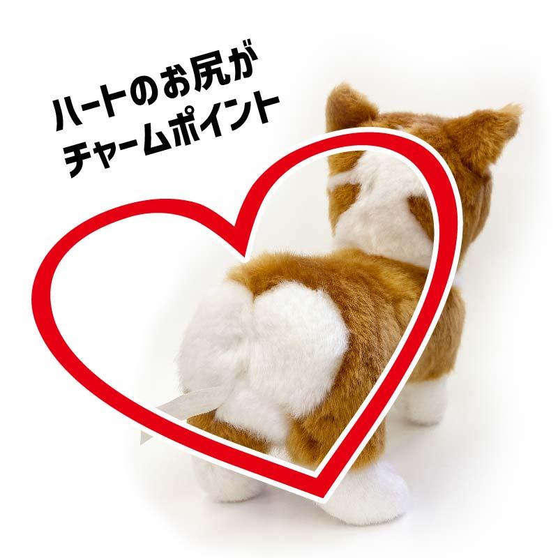 コーギー　犬　ぬいぐるみ　「ふうちゃん」★風想花オリジナル LOVE CORGI★｜fuusouka｜02