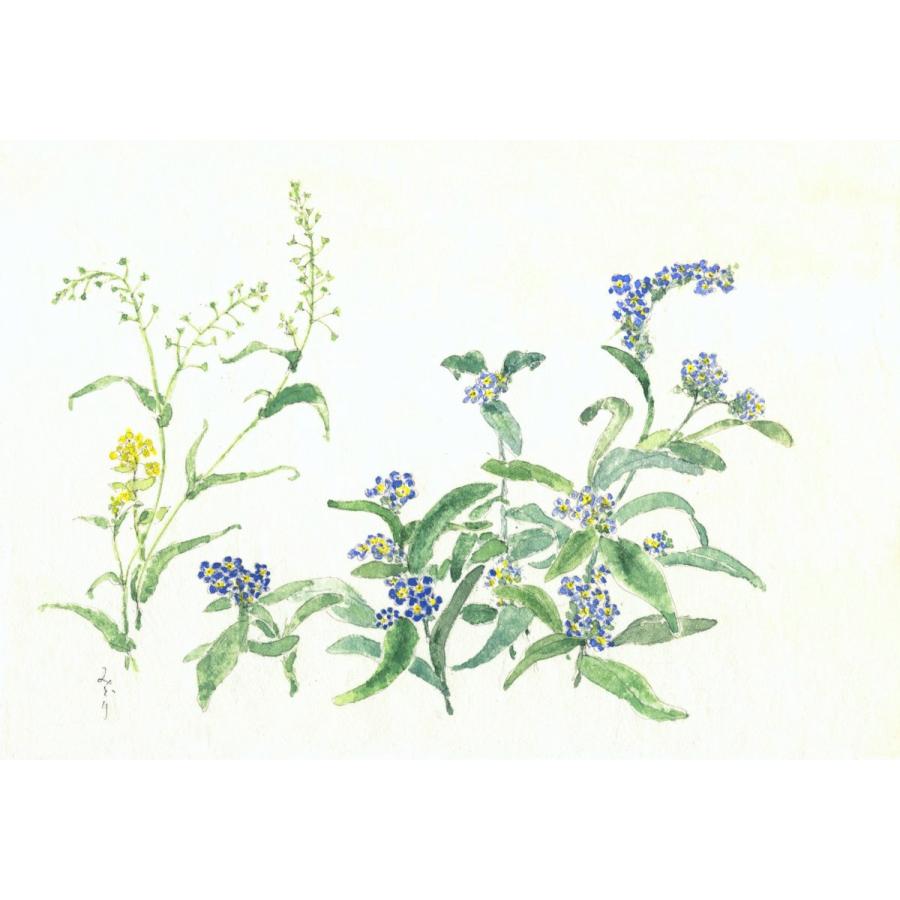 布だより 忘れな草 野の花 絵葉書 布のはがき 阿見みどり 63円切手で送れます レターパックライト対応 Nuno A 010 鎌倉 風想花 通販 Yahoo ショッピング