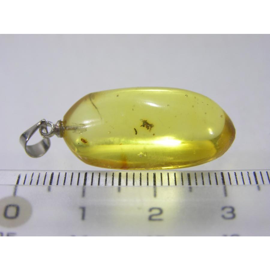 天然石 虫入り琥珀（アンバー）のペンダントトップ 200723-3 風水天珠 