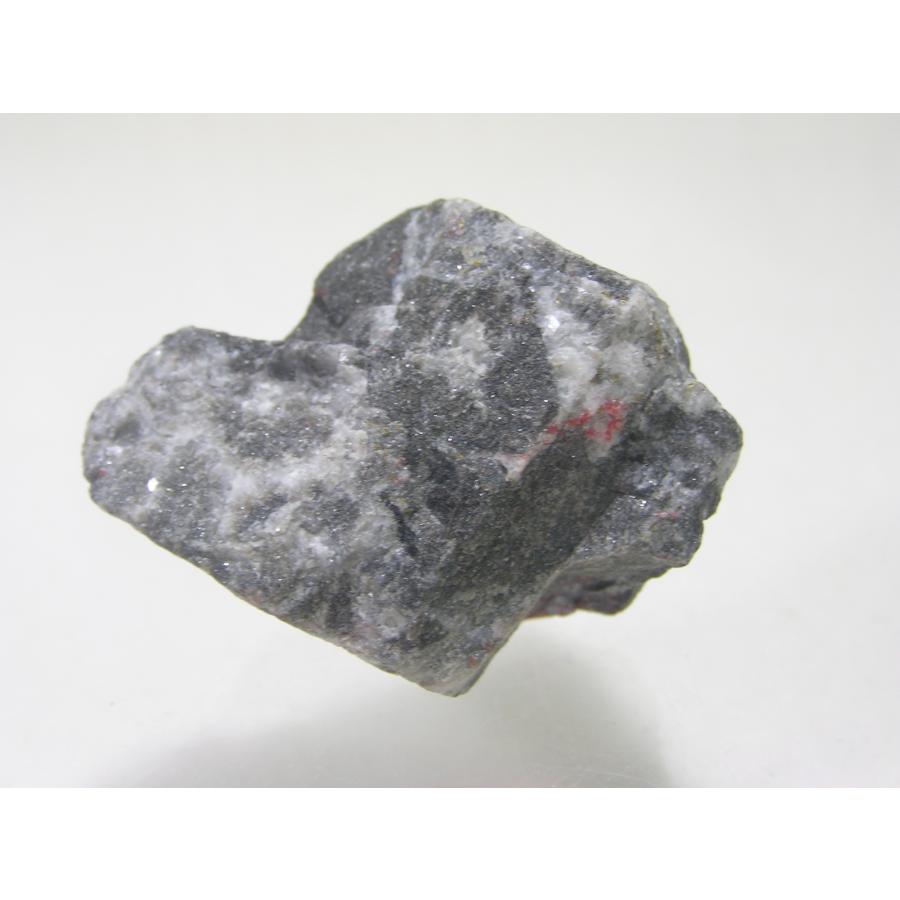 【超希少な太古の石】レアストーン★シャリグラムの原石☆一点物限定☆NO.12 超希少な太古の石】レアストーン☆シャリグラムの原石☆一点物