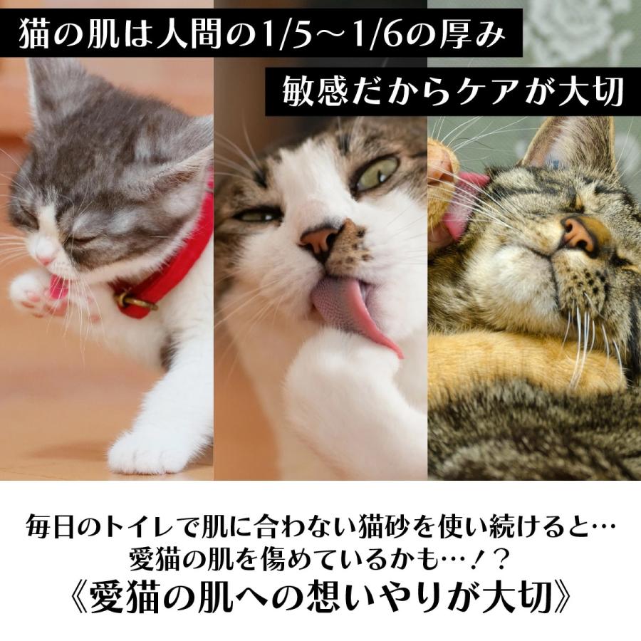 敏感肌用の猫砂 10L 小粒 ノンケミカル オーガニック 肌ケア 完全無添加  猫肌と同じph6.4  消臭 抗菌  木製 ネコ 猫 土に還る 日本製 TVメディア掲載 杉にゃん |  | 12