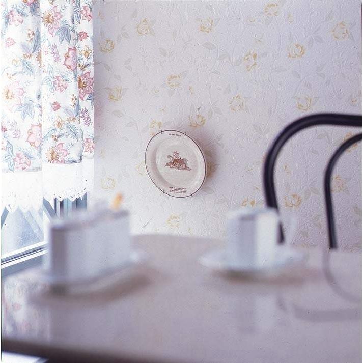 絵皿 壁掛け エリアプレートハンガー S/S 6067 タイガークラウン