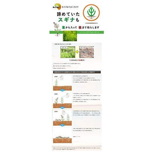 宅配 大成農材 10l 2本セット サンフーロン液剤 除草剤 肥料 薬品 Nontheistfriends Org