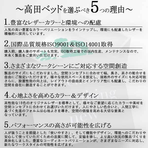 G型オーダス マッサージベッド 施術ベッド 施術台 高田ベッド 施術用 2024/05/17までの期間限定セール 格安｜fuyomarket｜05