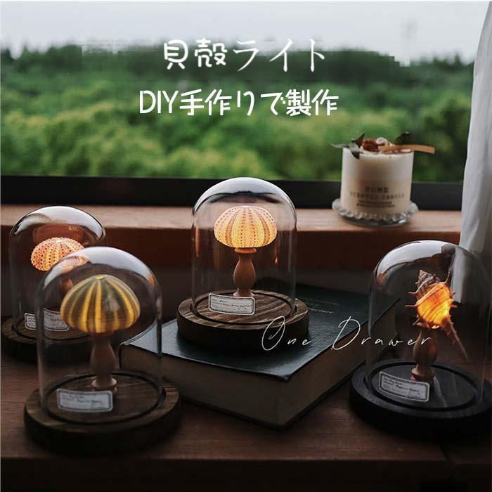 夜光貝　インテリア　ライト　小物 ナイトライト 貝殻ライト ナイト 小夜灯 ウニ 巻貝 ランプ置物