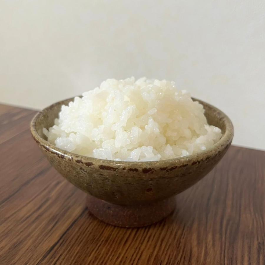 コシヒカリ 5kg 5kg×1袋 令和7年産 長野県産 お米 白米 : 津南観光物産