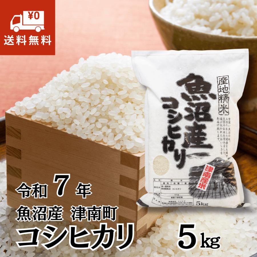 コシヒカリ 玄米 令和7年産 魚沼産 5kg 魚沼産 津南町 お米 : 津南観光