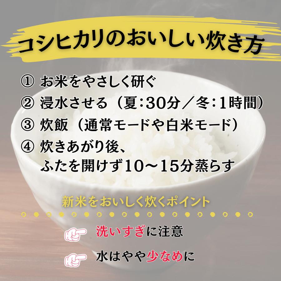 米 コシヒカリ 新潟県産 10kg 5kg × 2袋 令和7年産 お米 白米_1