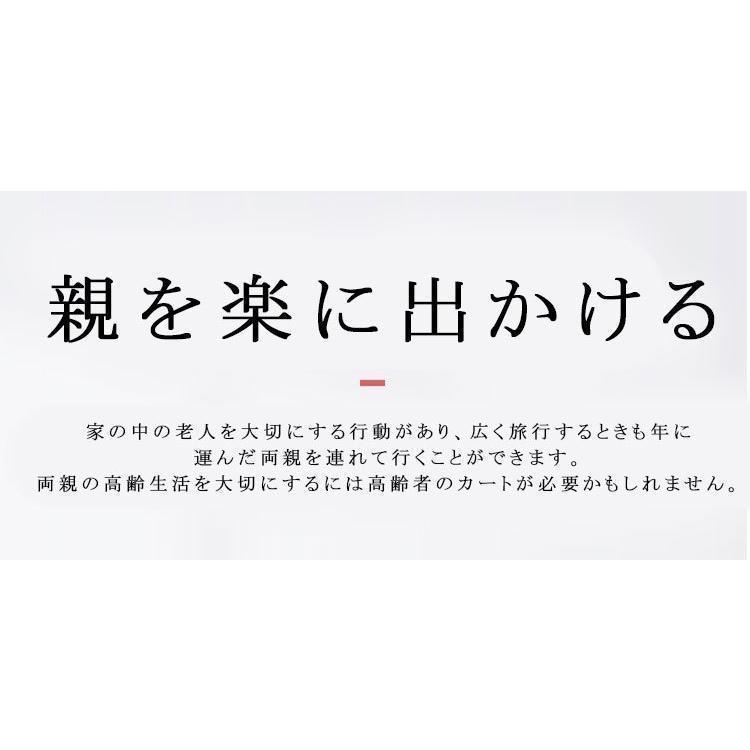 シルバーカー 車椅子 軽量 折りたたみ 手押し車 歩行器 高齢者 屋外 老人 家庭 買い物 散歩 コンパクト 小型 ノーパンク 介助 持ち運び 買い物カート 須恵廣工業 シルバーカー スイートIII なでしこ紺 XU1160256669(11546円)