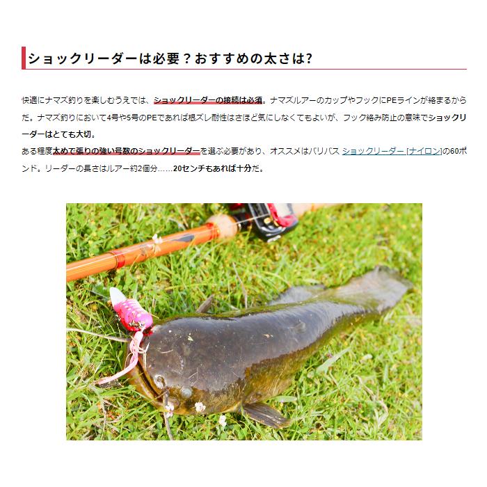 VARIVAS（バリバス） 鯰プレミアムPE 80m 5号 PEライン 8本編み : FWS