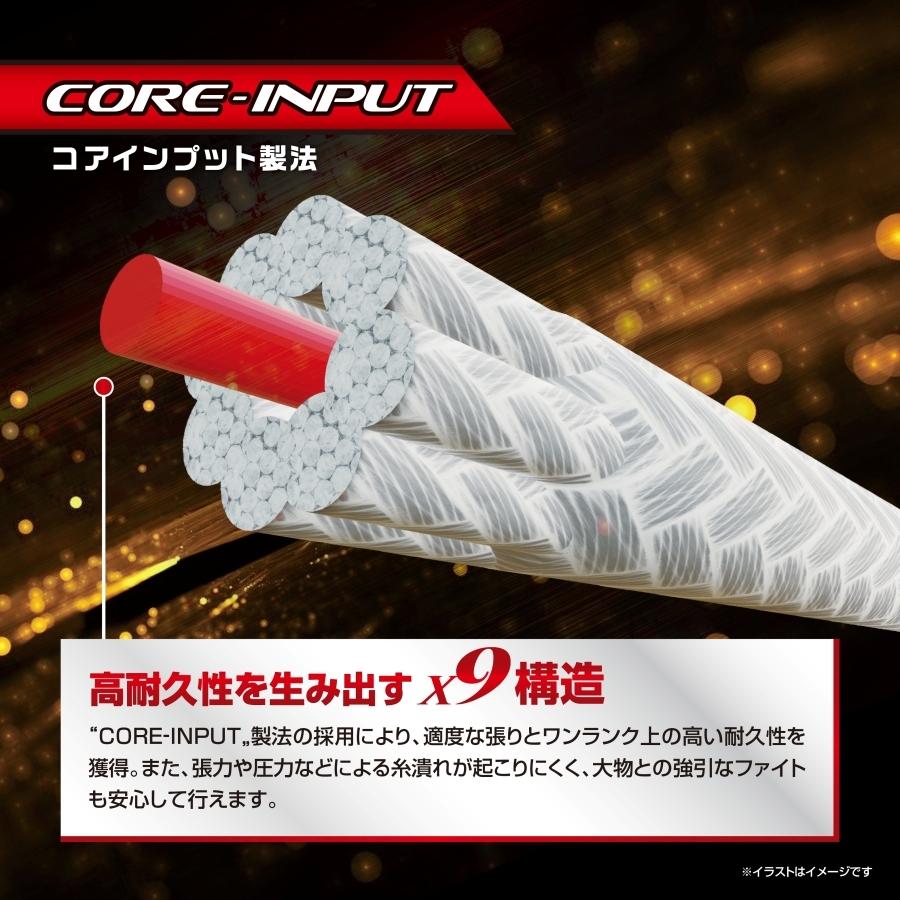 VARIVAS（バリバス） アバニ ジギング10×10 マックスパワー PE X9 300m
