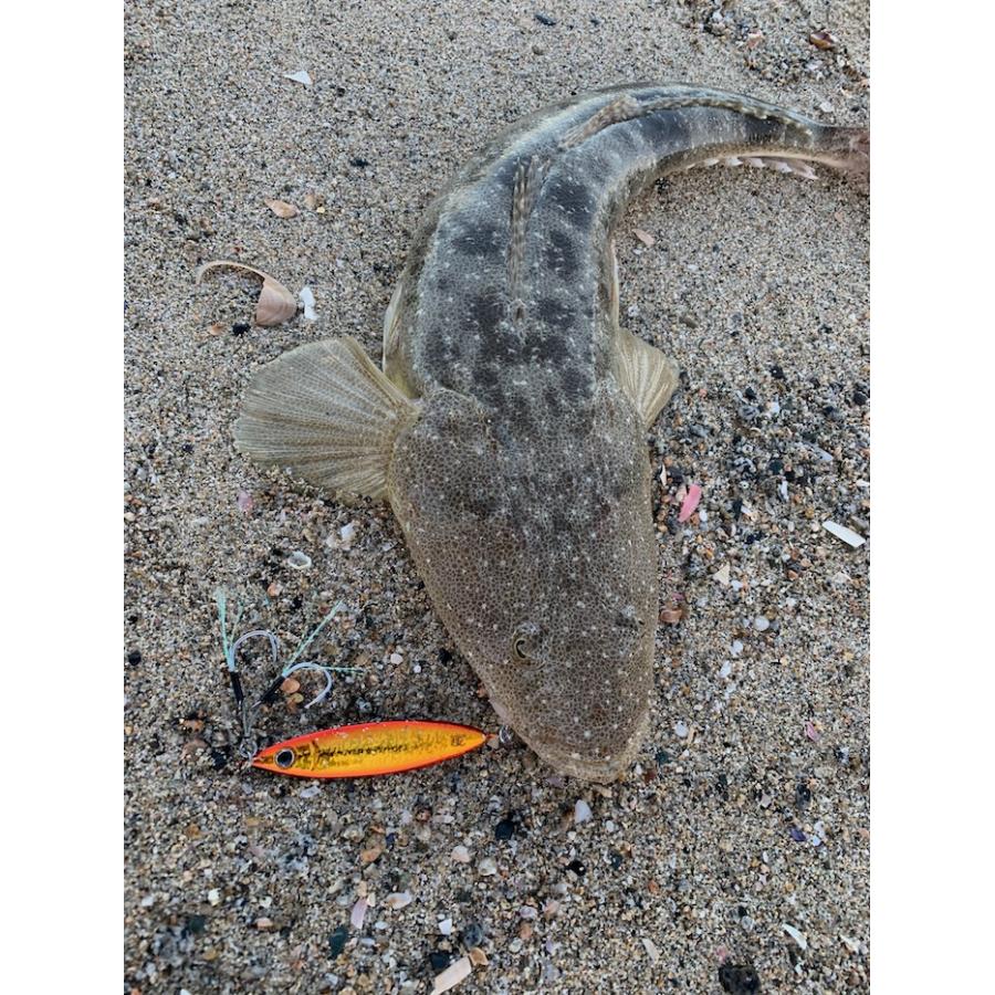 かあるんげ⭐︎ Zeake (特価) ジーク Zビット 40g #レッドヘッドゴールドGD 限定