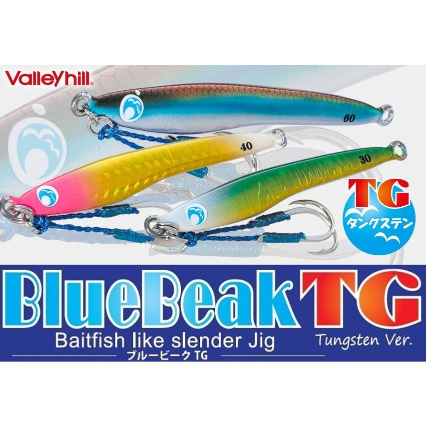 Valleyhill（バレーヒル） ブルービーク TG 30g タングステン ジグ