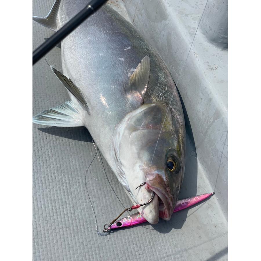 Zeake（ジーク） Rサーディン ロング 80g 142mm メタルジグ ジギング