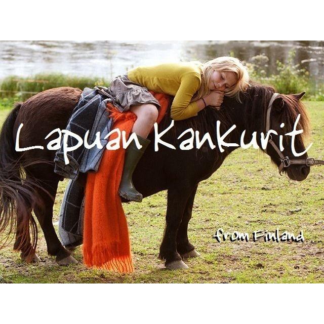 ラプアンカンクリ 湯たんぽ Lapuan Kankurit エスキモー Eskimo グレー ファシー 2リットル 大きい ウールカバー|fynda|07