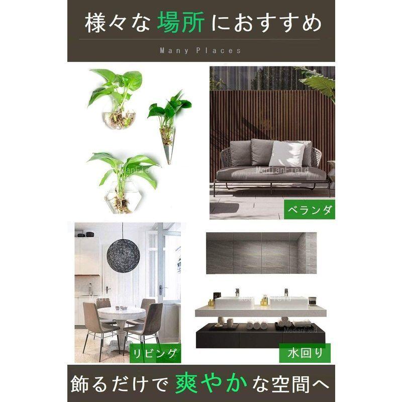 Medianfield ガラス 花瓶 3個 フック セット 壁掛け ミニ 一輪挿し おしゃれ 多肉植物 エアプランツ アンティーク 雑貨 サ 楽天