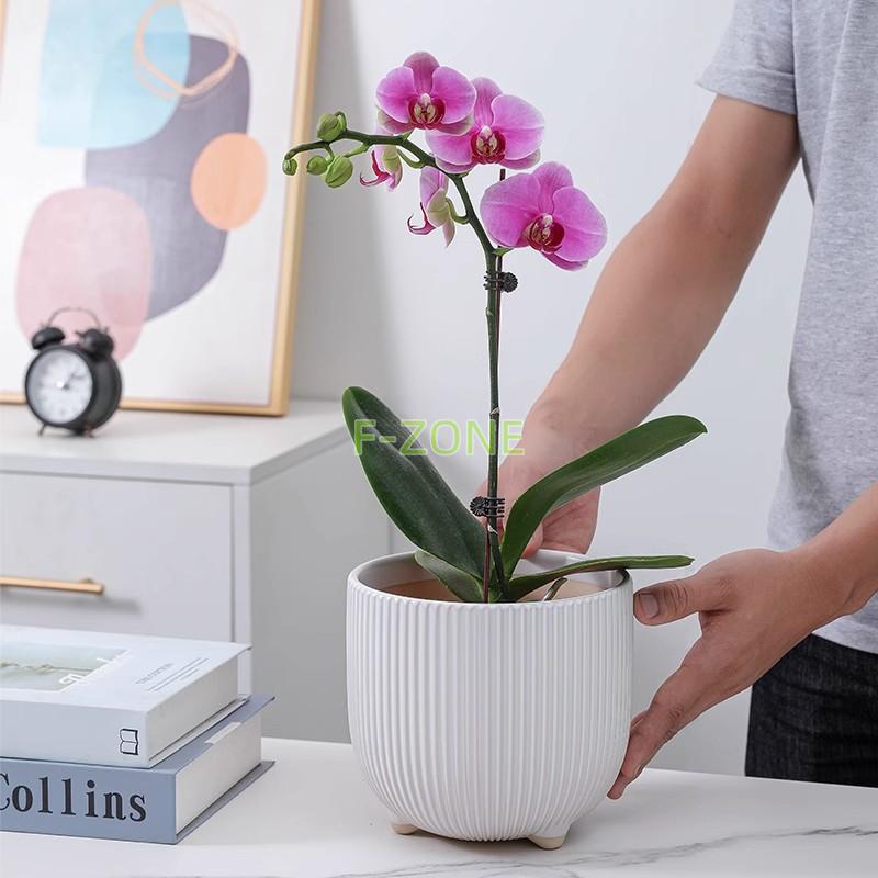 ブランド登録なし 鉢植え 植木鉢 盆栽鉢 陶器 シンプル 三脚 ブランド登録なし 鉢植え 植木鉢 盆栽鉢 陶器 シンプル 三脚