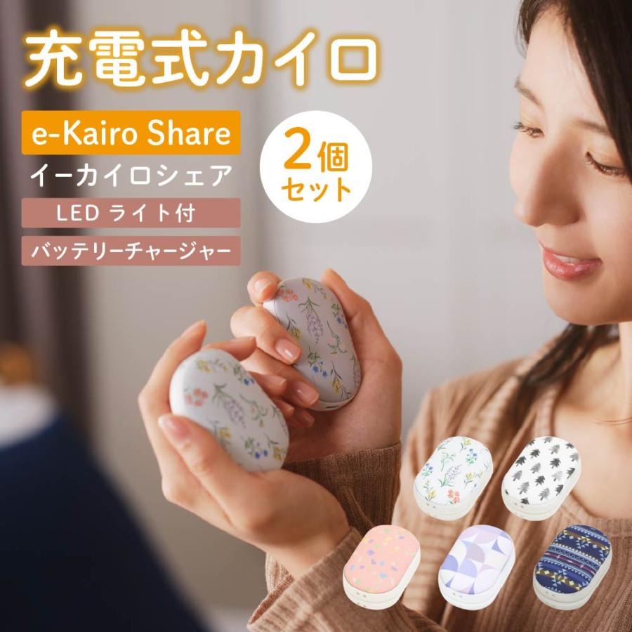 充電式カイロ 2個セット エレス イーカイロ シェア e-Kairo Share 電気