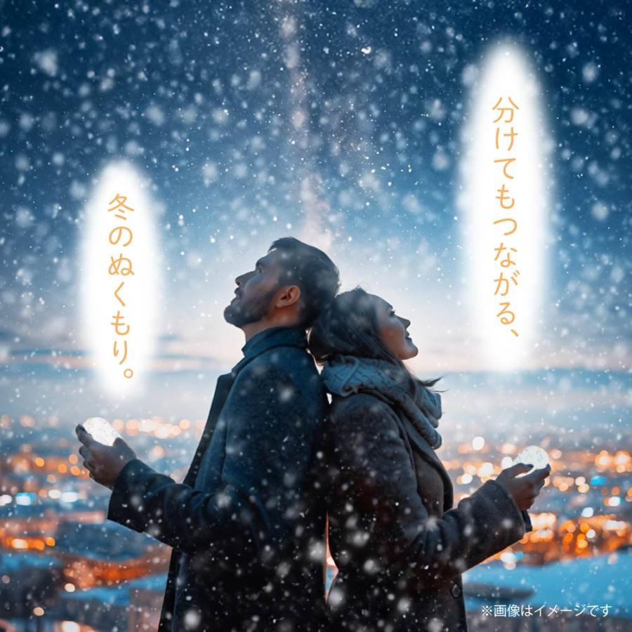 充電式カイロ 2個セット エレス イーカイロ シェア e-Kairo Share 電気
