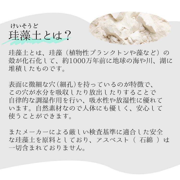 珪藻土 コースター 2枚セット 吸水 吸水性 速 乾 速乾 吸水コースター