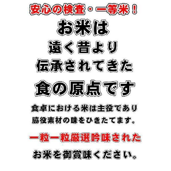 お米マイスターおすすめお米　米７年度　お米 10kg 長野県 白米 1等米 あきたこまち 10kg 送料無料　精米したてで出荷_2