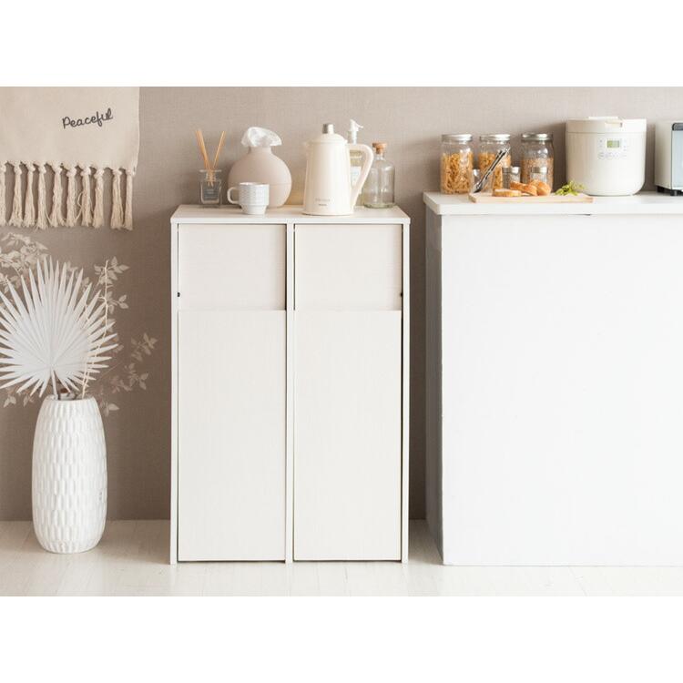 ゴミ箱 ごみ箱 ダストボックス 45L 2分別 スリム ふた付き キャスター