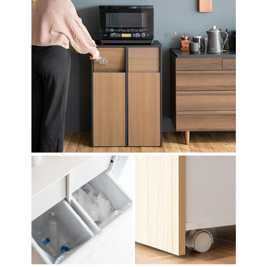 ゴミ箱 ごみ箱 ダストボックス 45L 2分別 スリム ふた付き