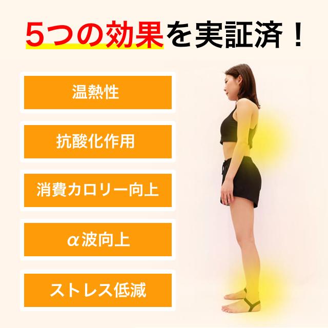 アンクルバンド  ABAND AnkleBand 両足用 スポーツ ウェア 足首 サポーター 体幹改善 姿勢改善 補正 男女兼用 左右兼用 日常用｜g-c｜06