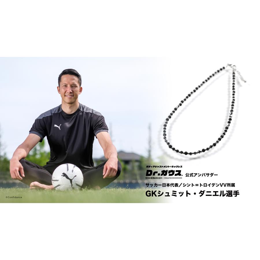 磁気ネックレス Dr.ガウス スタンダードグレード Mサイズ 管理医療機器
