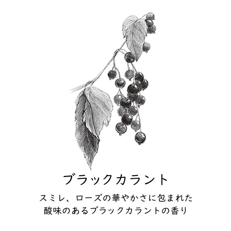 GRASSE TOKYO ジェル香水 日本製 ブラックカラント Blackcurrant オードパルファン スティックタイプ 9g｜g-c｜02