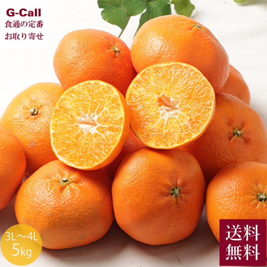 愛媛県産 無農薬 甘平 5kg 5Lサイズ特大厳選 果物 愛媛県産