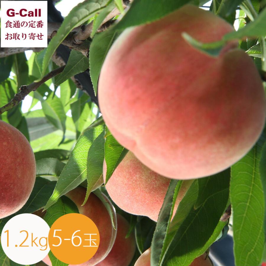 福島産 福島の桃 暁星 ぎょうせい 5-6玉 約1.2kg 四国/九州