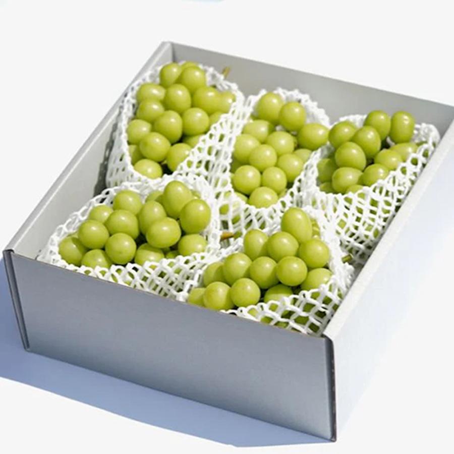 特別価格 山梨県産 大粒プレミアムシャインマスカット 4〜5房入