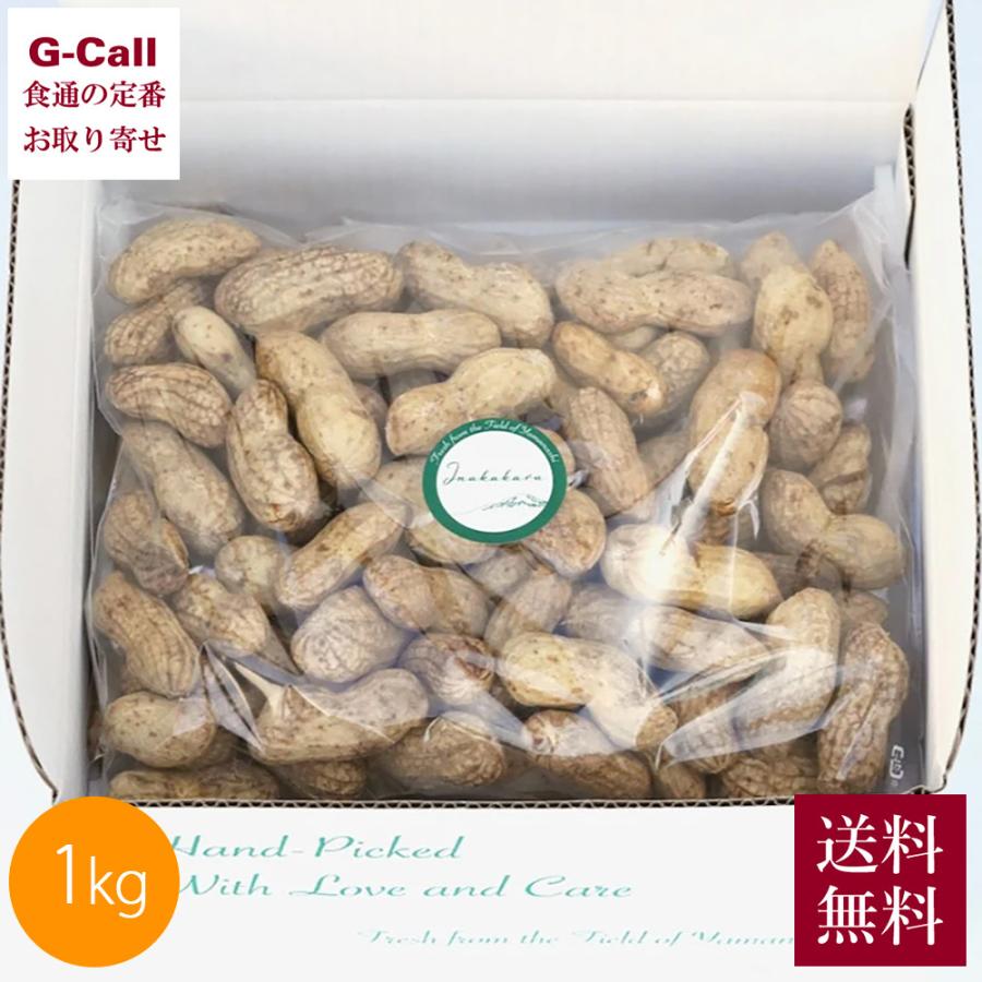 Inakakara 山梨県産 大粒生落花生 おおまさり 1kg 9月中旬から10月上旬
