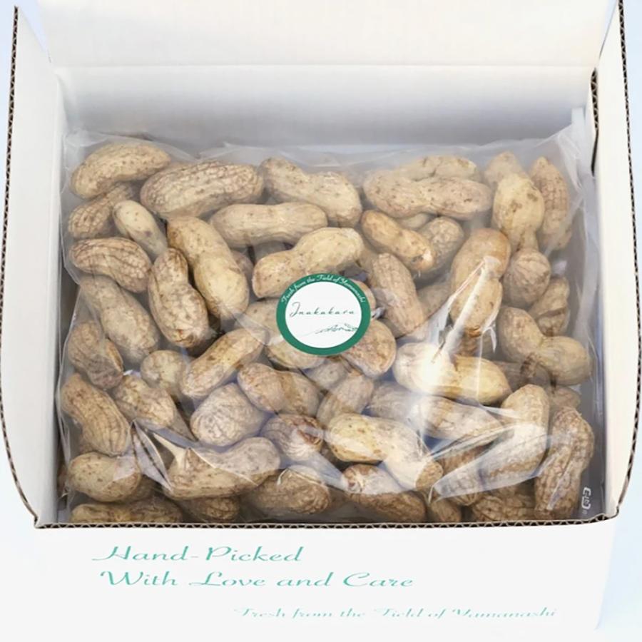 Inakakara 山梨県産 大粒生落花生 おおまさり 1kg 9月中旬から10月上旬