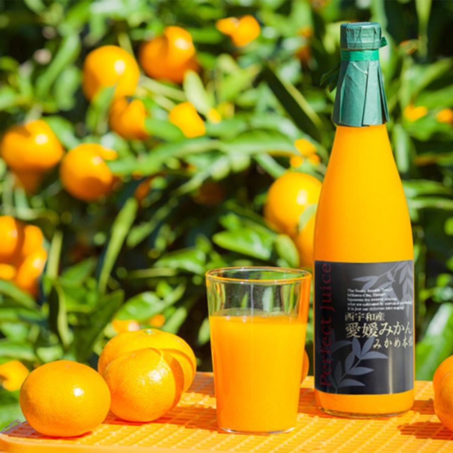西宇和産 愛媛みかんジュース 720ml 3本 送料無料 みかんジュース お