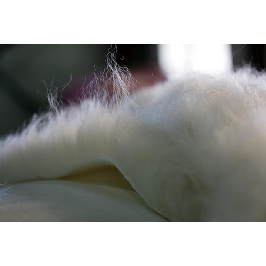 The PREMIUM Sofwool 2 掛け毛布 シングル 送料無料 ソフゥール ディーブレス 毛布 オーストラリア産 ウール 極上 天然 至福 暖かい 上質 メーカー直送_5