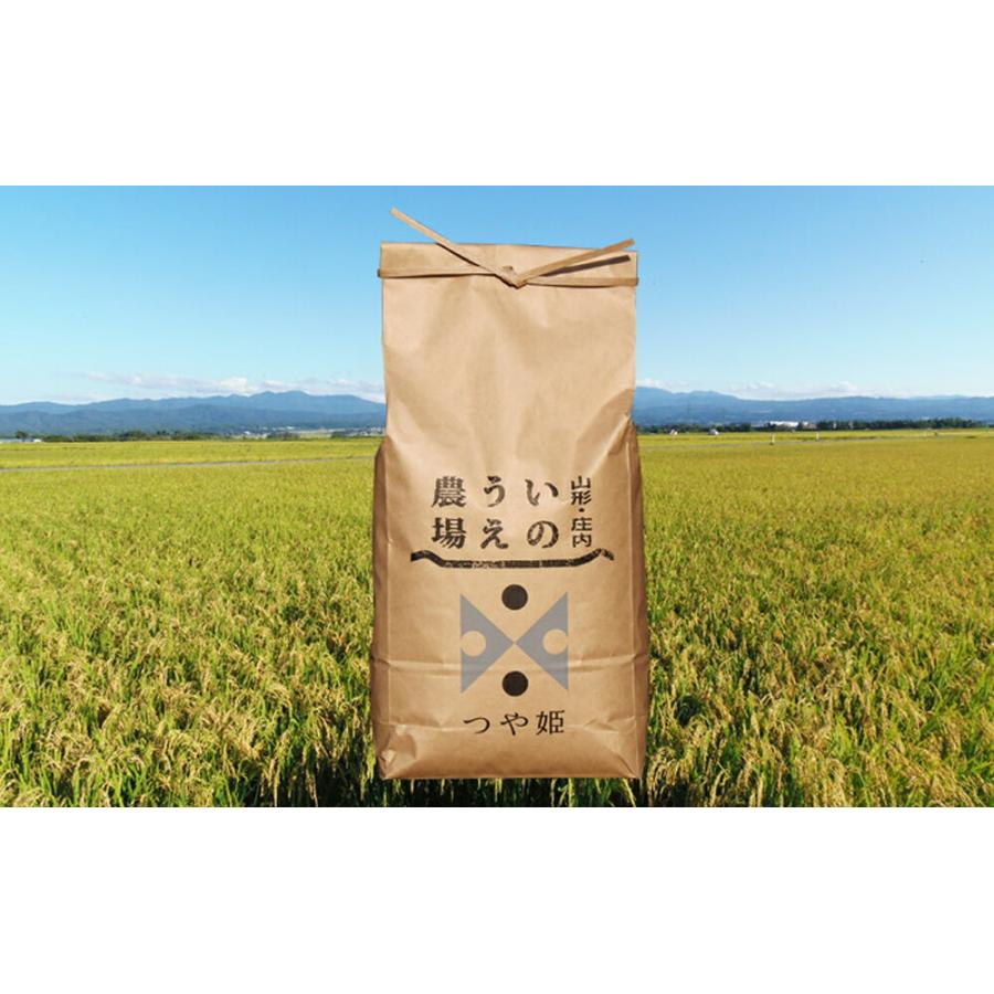 山形県産 令和7年産 井上農場の特別栽培米 つや姫 20kg 5kg×4袋 送料無料 お取り寄せ お米 精米 ごはん 白米 産地直送 人気 主食 仕送り コメ 旨み 自然_2