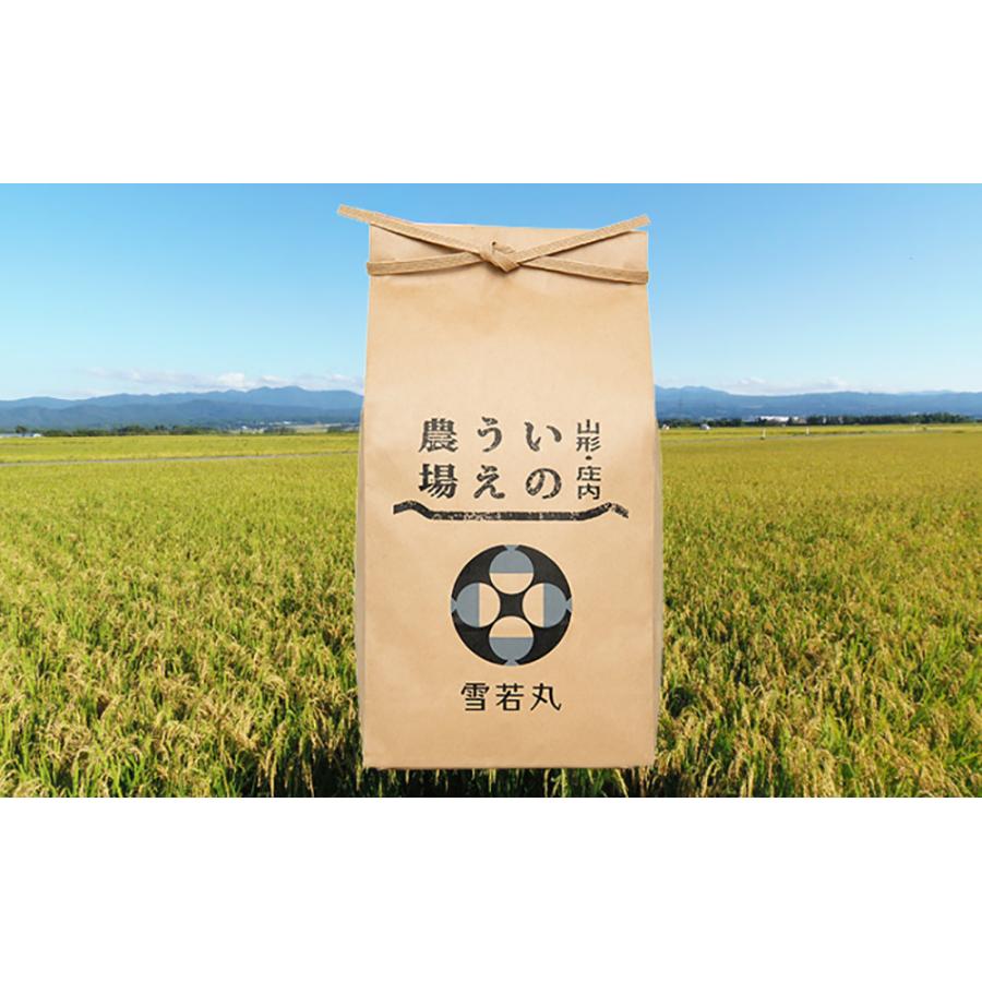 山形県産 令和7年産 井上農場の特別栽培米 雪若丸 15kg 5kg×3袋 送料無料 お取り寄せ お米 精米 ごはん 白米 産地直送 人気 主食 仕送り コメ 旨み 自然_2