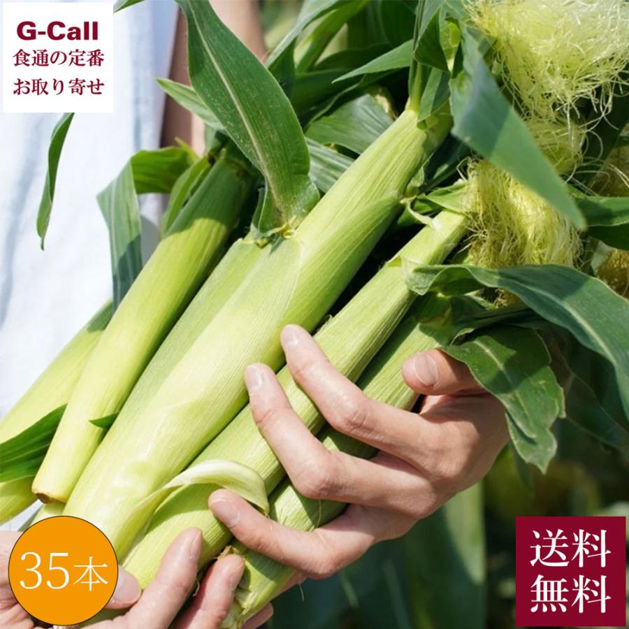 Inakakara Farm to Table 山梨県産 金蜜ゴールドのヤングコーン 35本 5