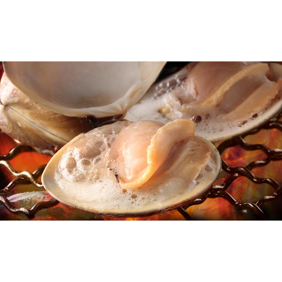 送料無料 マルタカ水産 桑名のはまぐり 大サイズ6cm以上 約1kg 10粒前後入り 魚介類 ハマグリ 新鮮 高品質 旬 産地直送 貝類 お取り寄せ ギフト 贈答 G Call 食通の定番 お取り寄せ 通販 Yahoo ショッピング