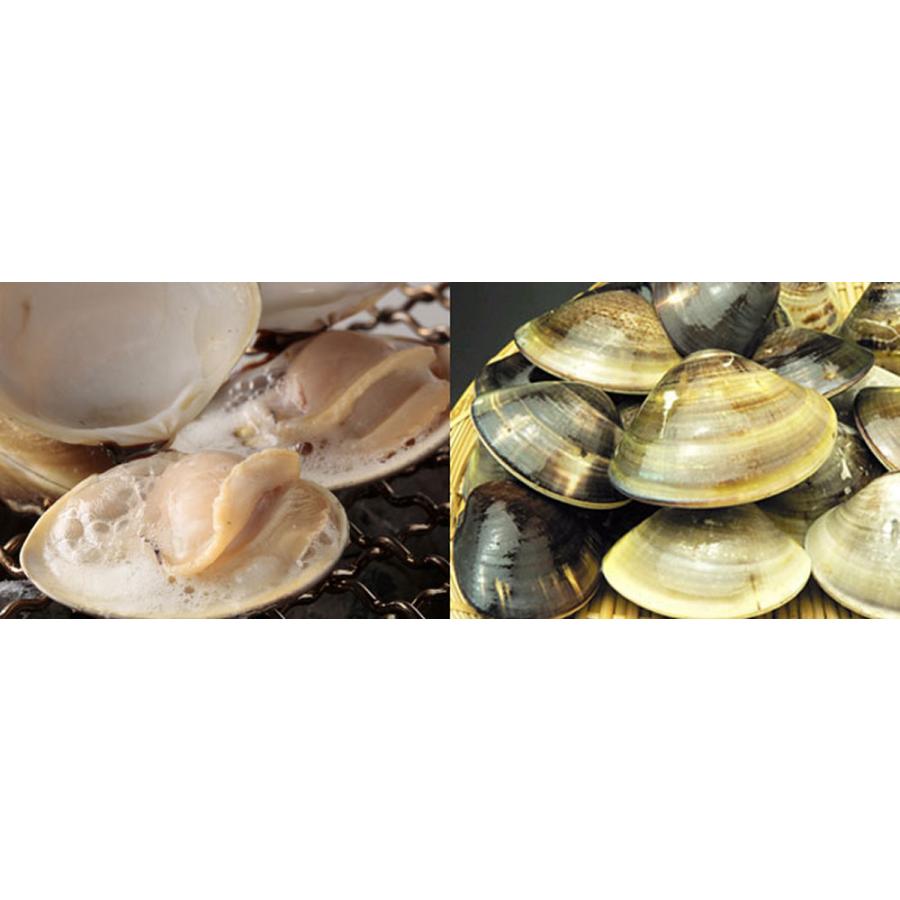 送料無料 マルタカ水産 桑名のはまぐり 大サイズ6cm以上 約1kg 10粒前後入り 魚介類 ハマグリ 新鮮 高品質 旬 産地直送 貝類 お取り寄せ ギフト 贈答 G Call 食通の定番 お取り寄せ 通販 Yahoo ショッピング