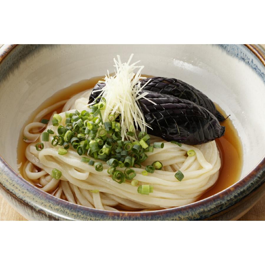 大澤屋 本生うどん 特製つゆ 4人前 北海道/四国/九州・沖縄送料別 水沢